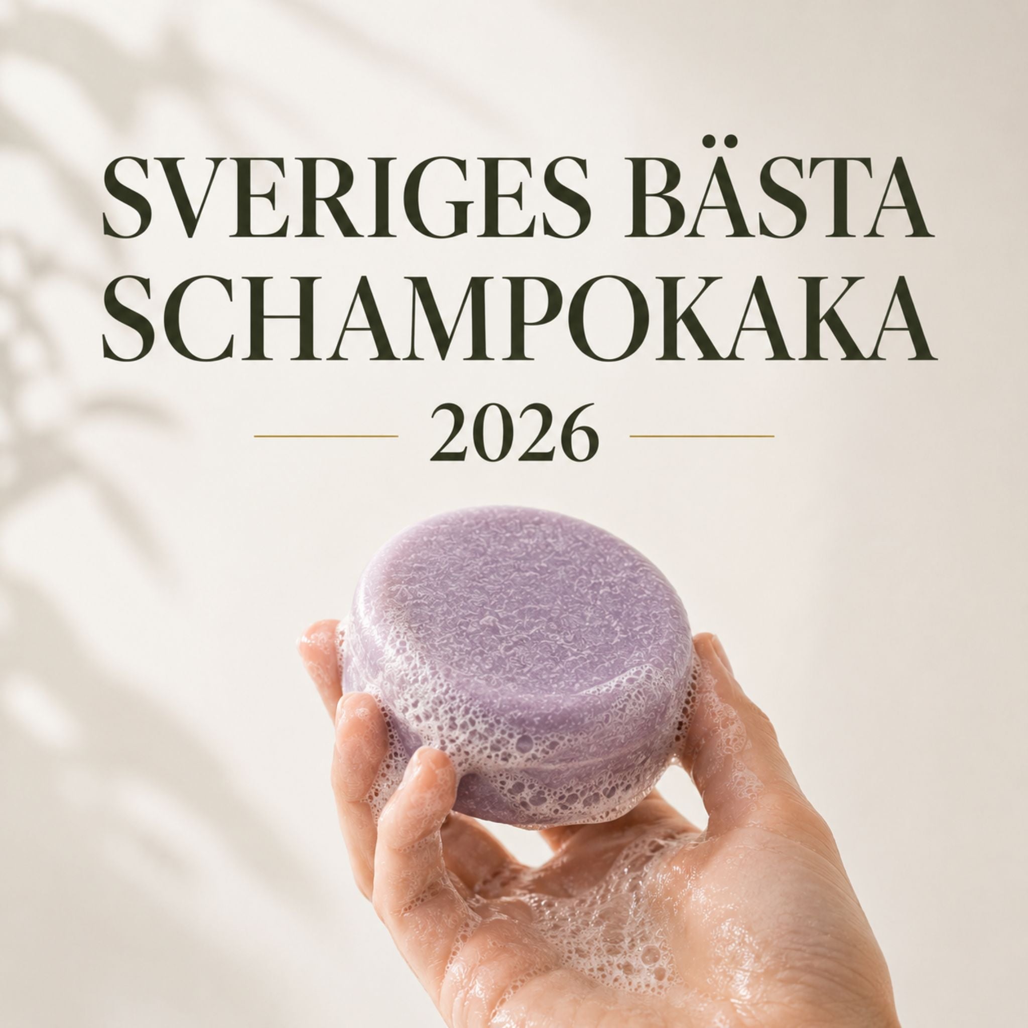 Sveriges bästa schampokaka 2026