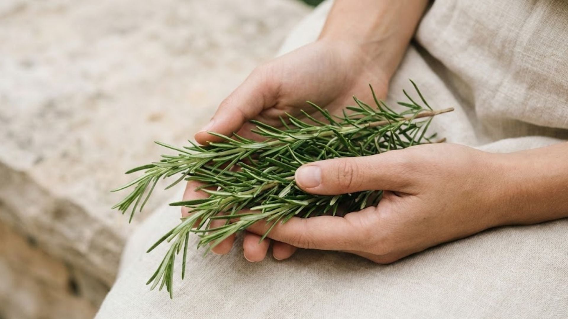 Varför vi skapade vårt Rosmarin & Koffein-schampo